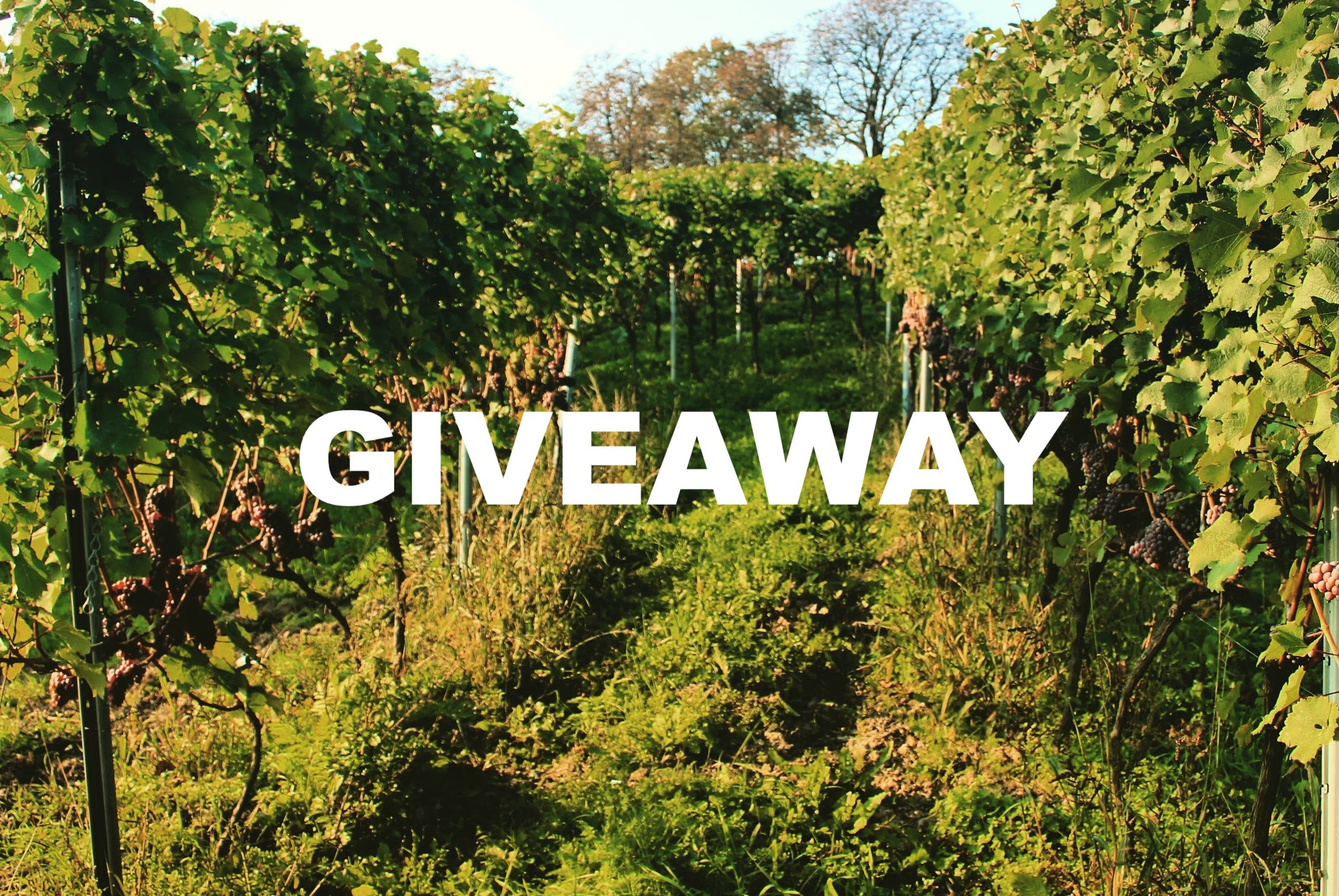 Win a bottle of Limited Edition Polish Wine (GiveAway) (CLOSED)